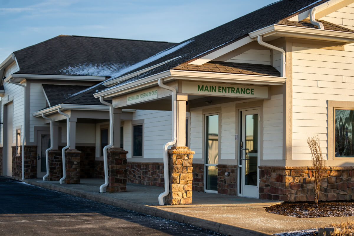 top rated vet in Troy Ohio