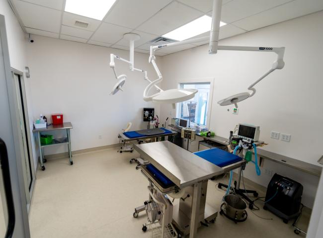 surgerysuite.jpg