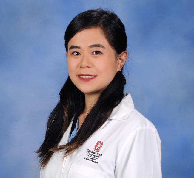 dr.wang2